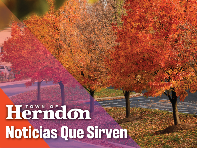 Noticias Que Sirven (graphic)