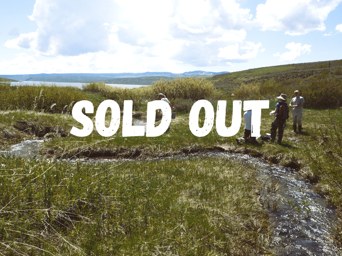 Watershed Investigations 2025 is sold out. Several people stand near the edge of a meandering stream that cuts gently through green, grassy hills, beneath a blue sky. They are examining the stream. 