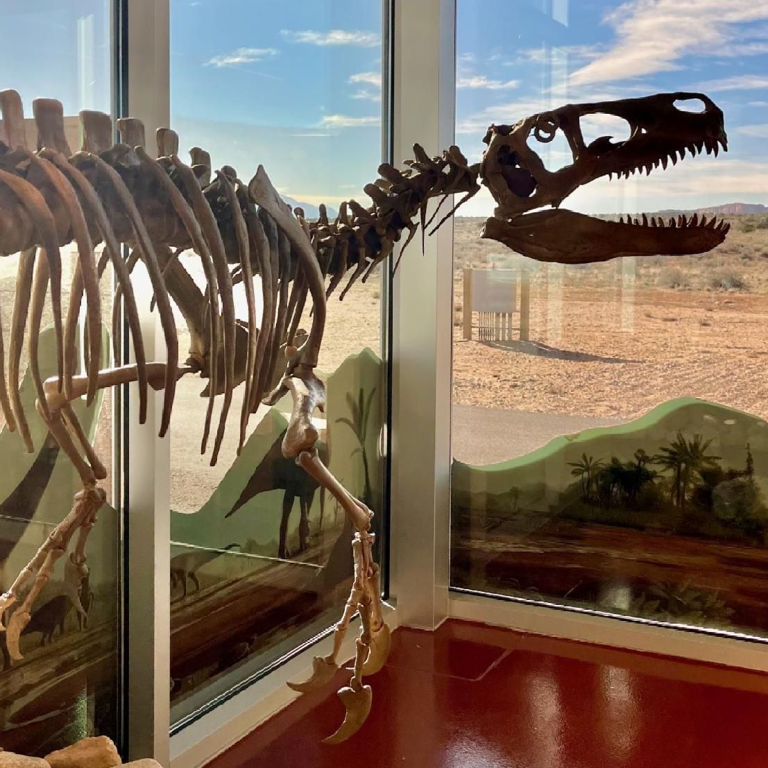 An articulated, fossilized skeleton of a Utahraptor dinosaur