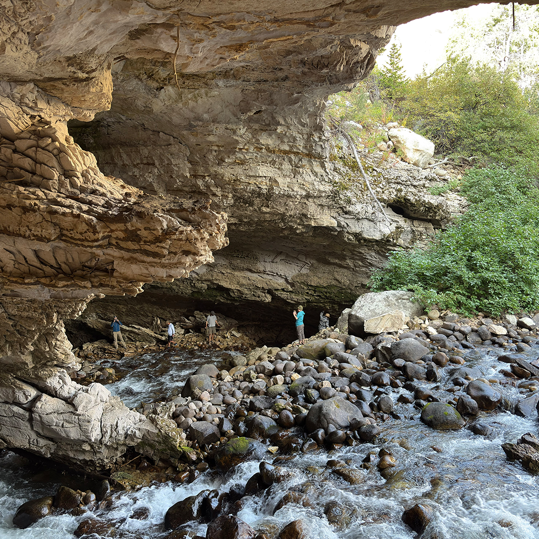 Geosciences students and faculty on a field trip in Western Wyoming