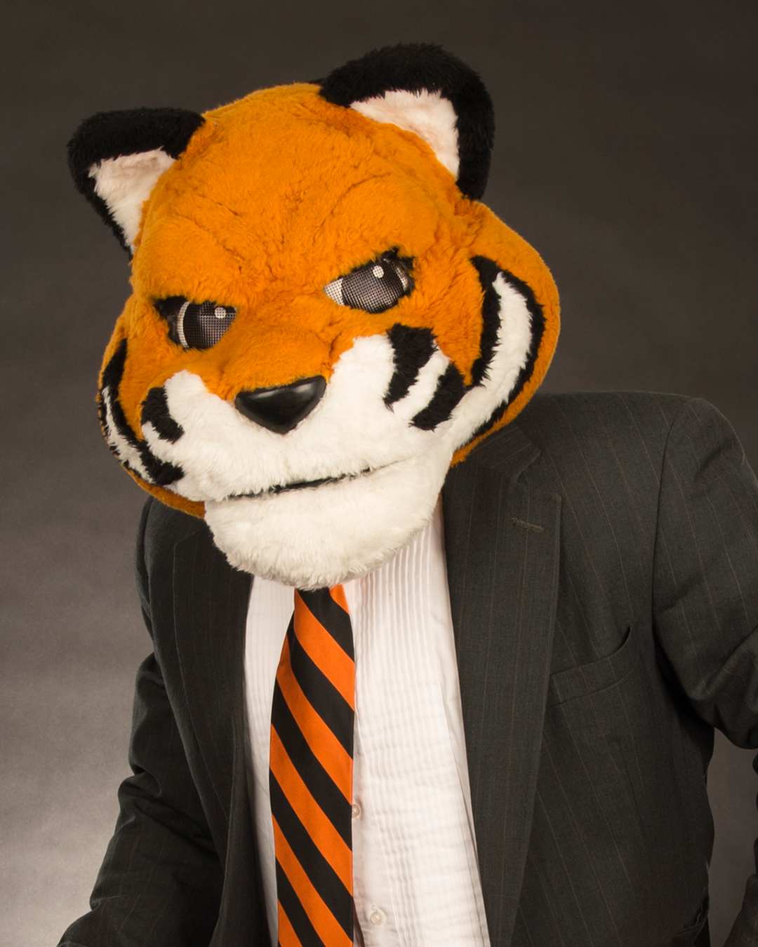 Benny the Bengal poses for a photo