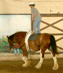 Interactive Vaulting at Saddle Up! Franklin, TN