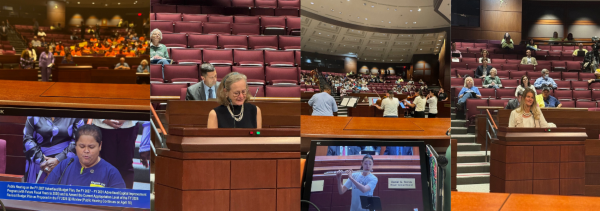 Individuals testifying at the Budget Public Hearings