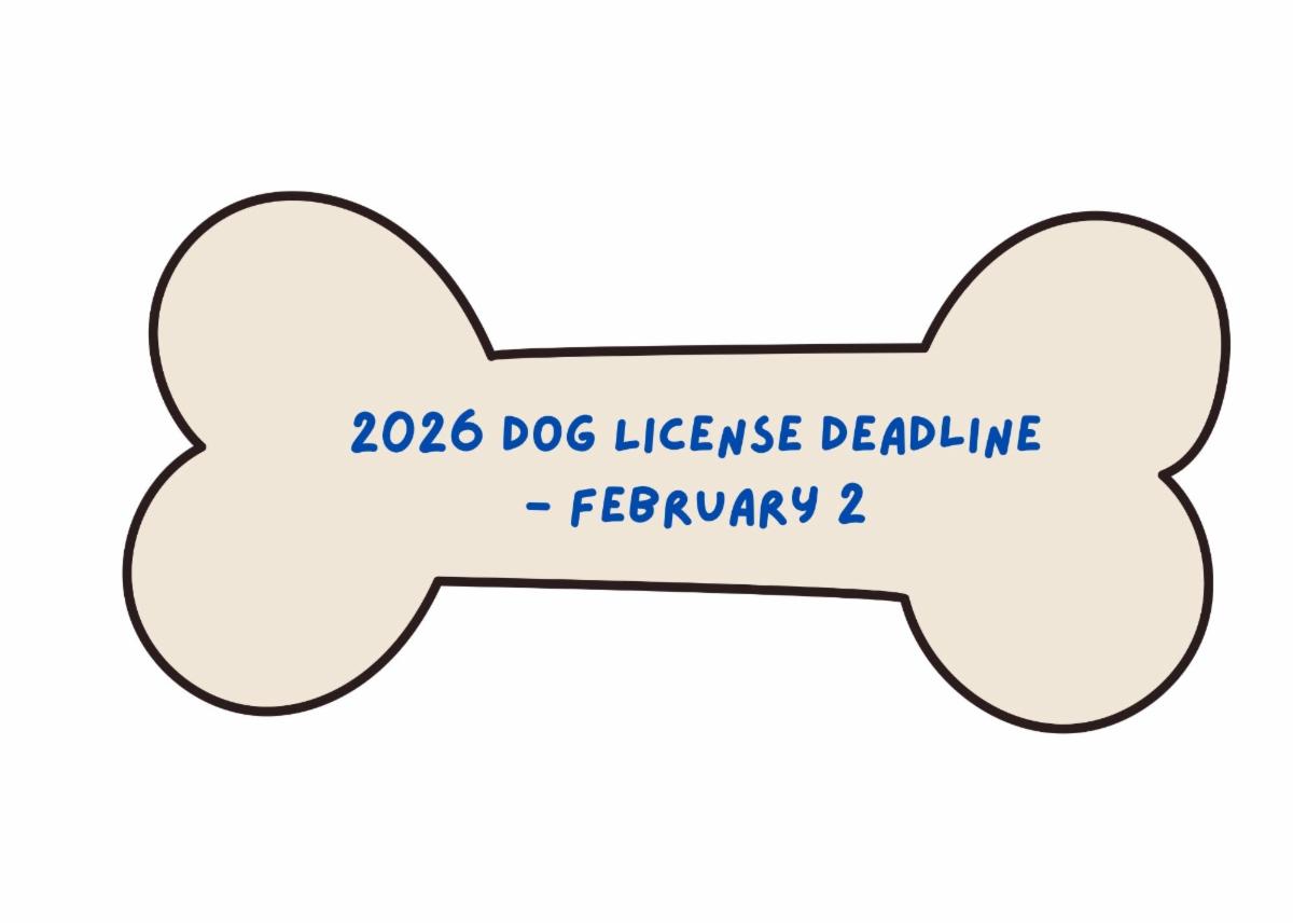 Graphic shaped like a doggy bone, with the Dog Tax deadline