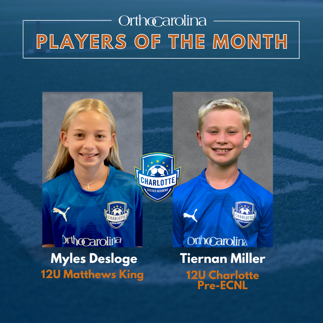 Executive Director Updates