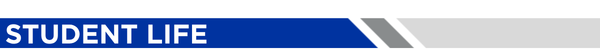 Enews_headers_p8.png