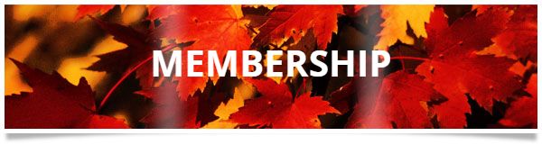 red-fall-leaves-banner.jpg