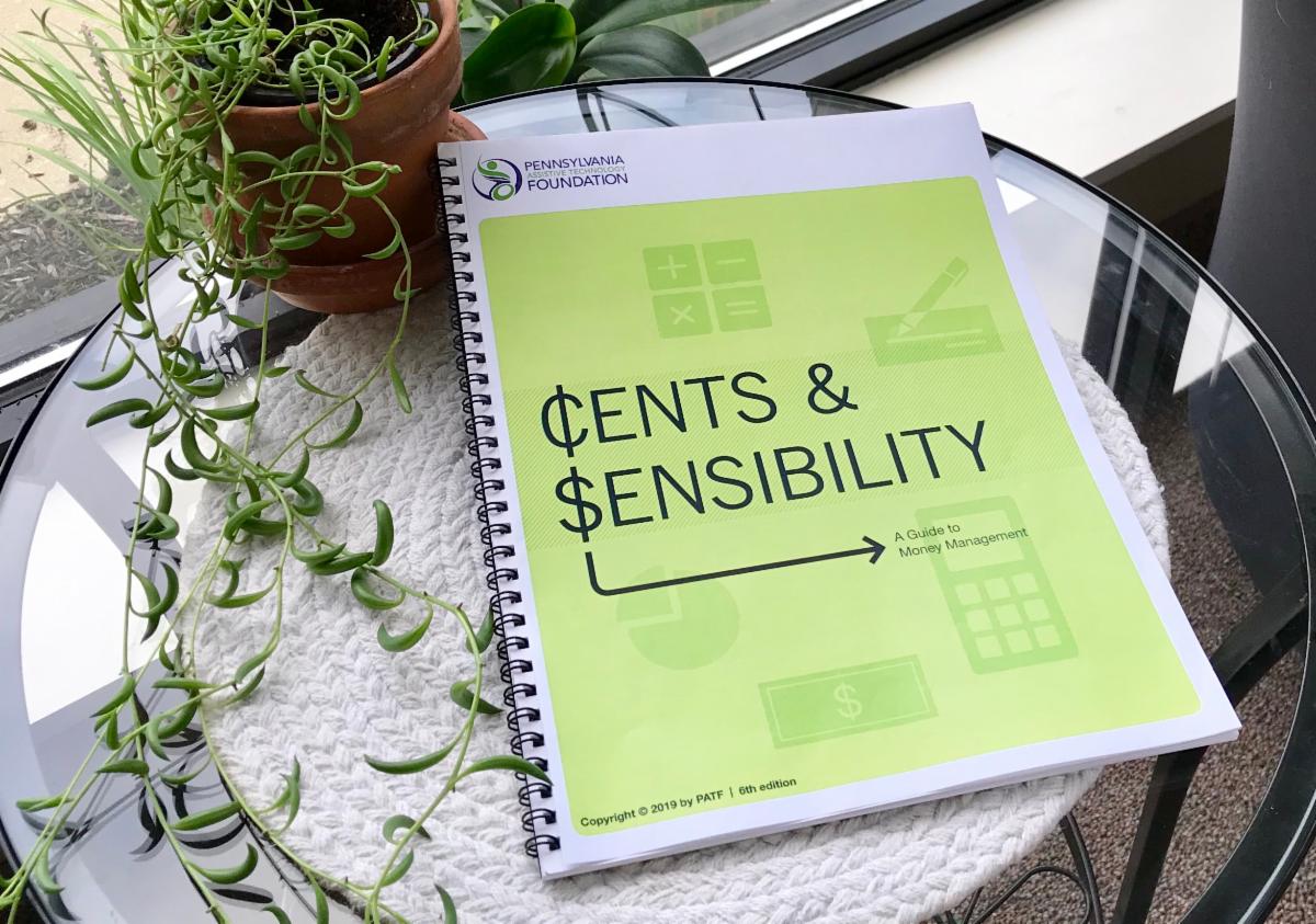 Cents and Sensibility book with updated light green cover is positioned on a small glass table next to a plant.