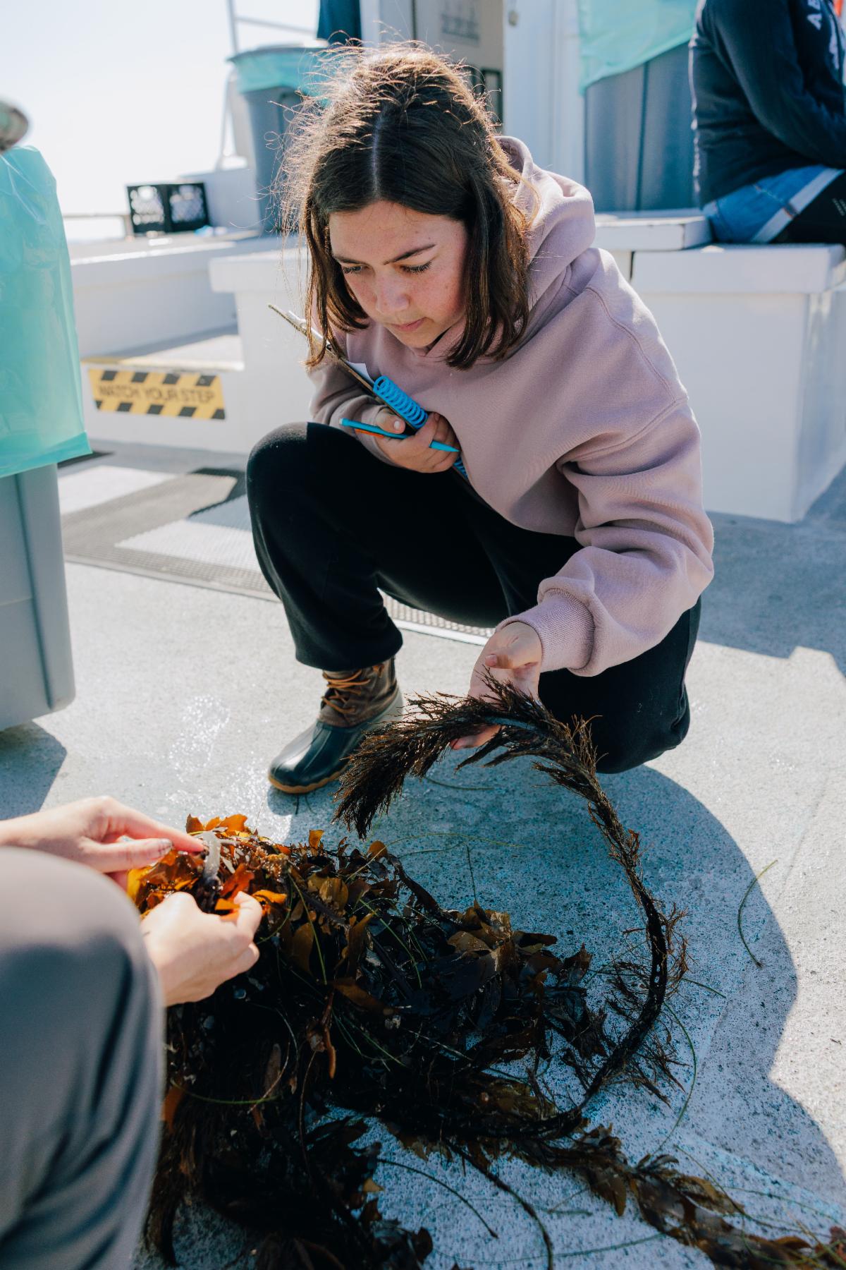 Student in pink hoodie, crouching over a kelp model