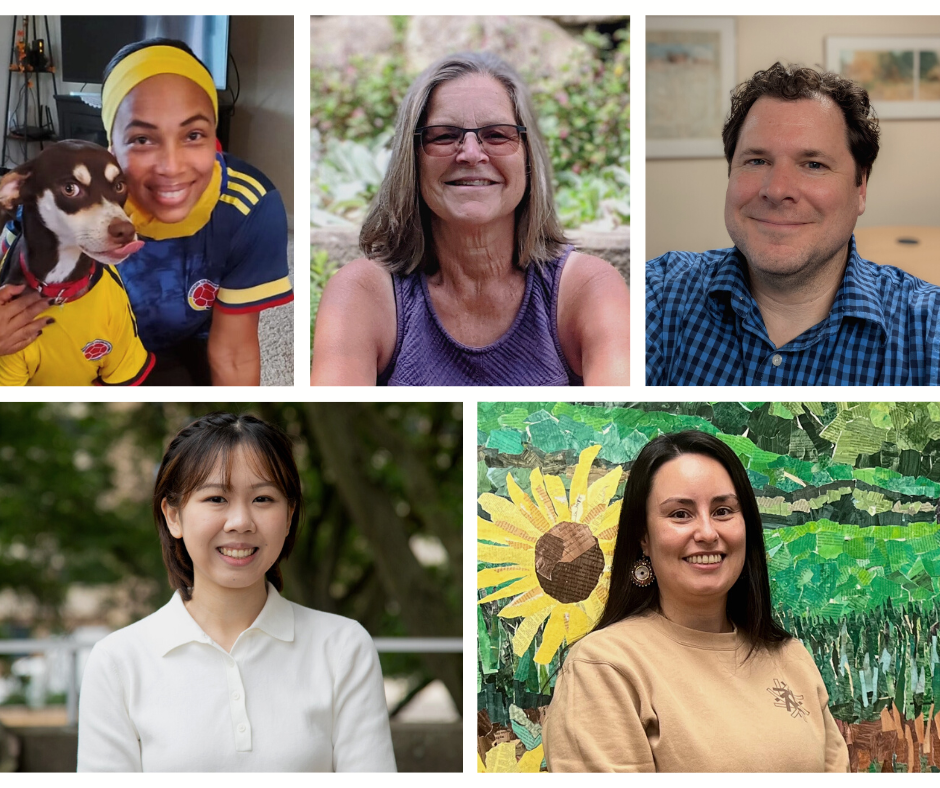 Data entry volunteer photos