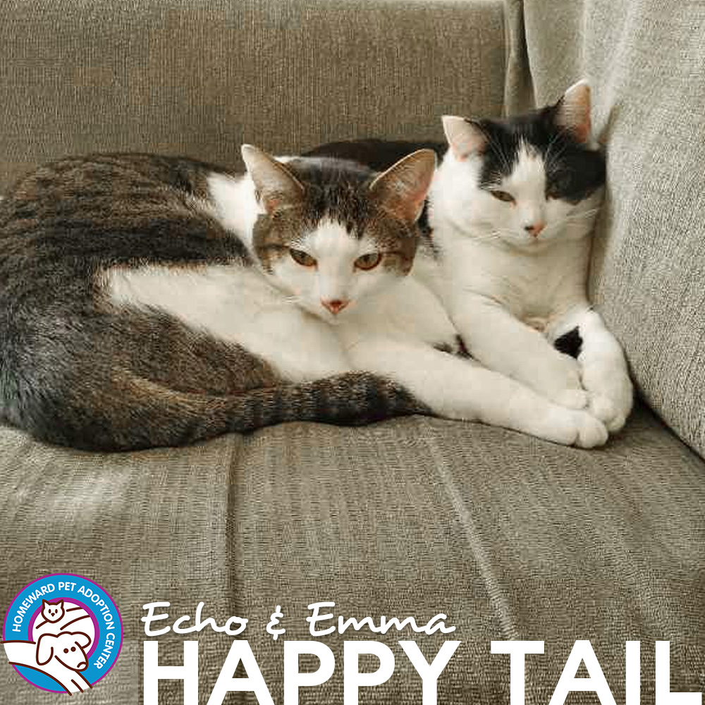 Echo and Emma - Happy Tail
