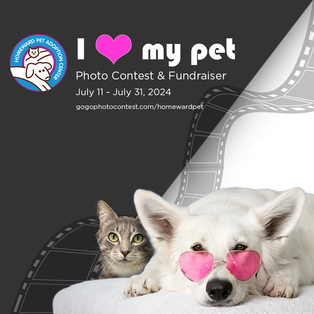 I love my pet photo contest. July 11 through July 31, 2024