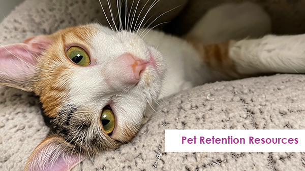 Pet Retention Resources