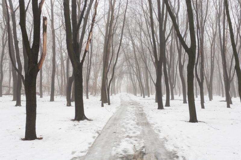 park_snow.jpg