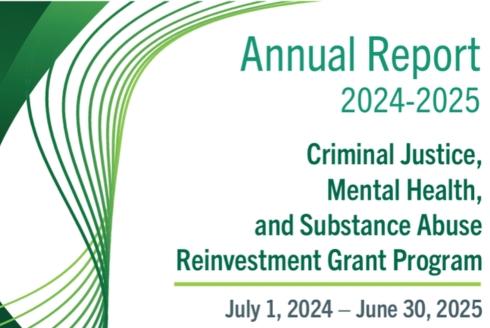 Criminal Justice, Mental Health and Substance Abuse Technical Assistance Center 2024–2025 Criminal Justice Reinvestment Grant Program Annual Legislative Report cover