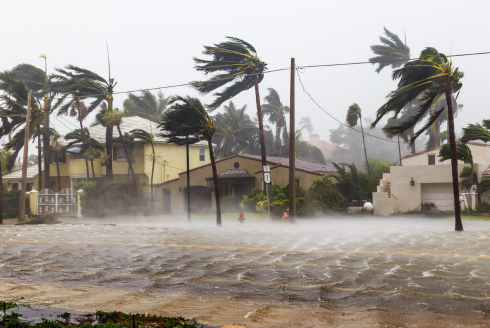 Hurricane with wind stock photo