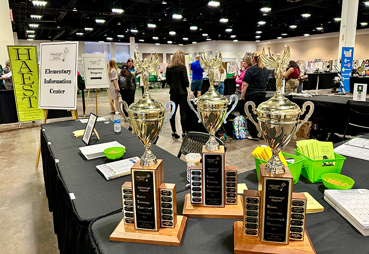 STEM Fair awards