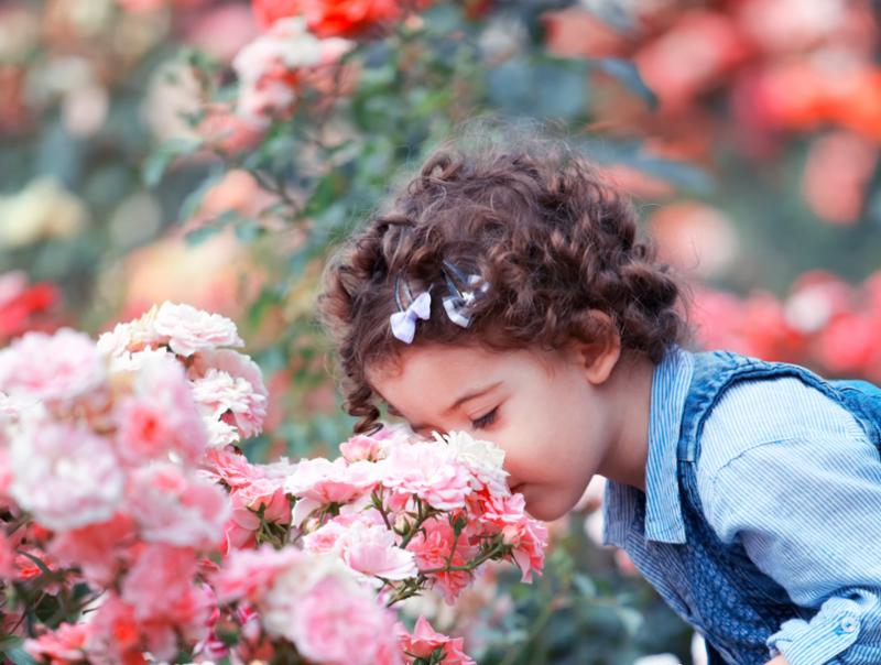 toddler_smelling_roses.jpg