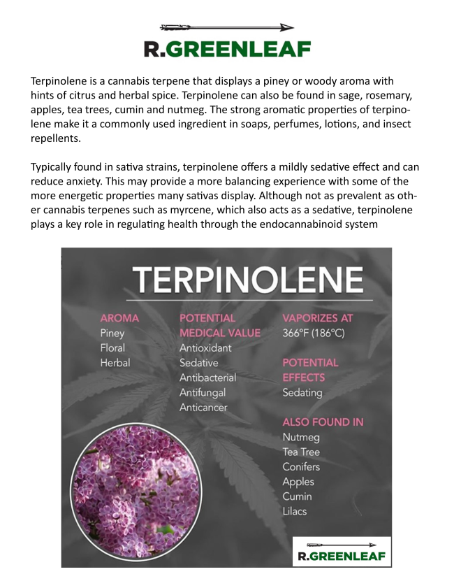 R. Greenleaf Statement on COVID19 (Coronavirus)