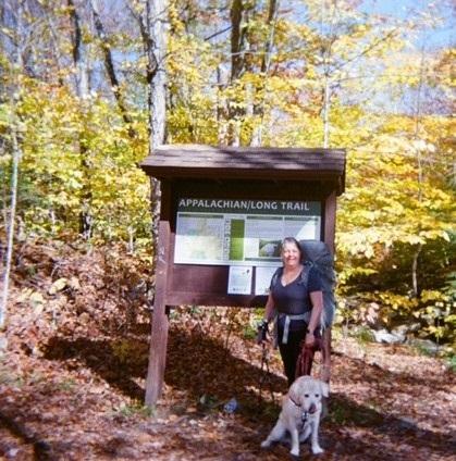 6396a05f-921b-446f-b9c2-9e774afdb43d image