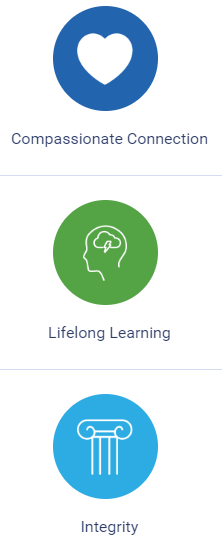 8432e342-3663-4e04-b9c1-37d693c8445c image