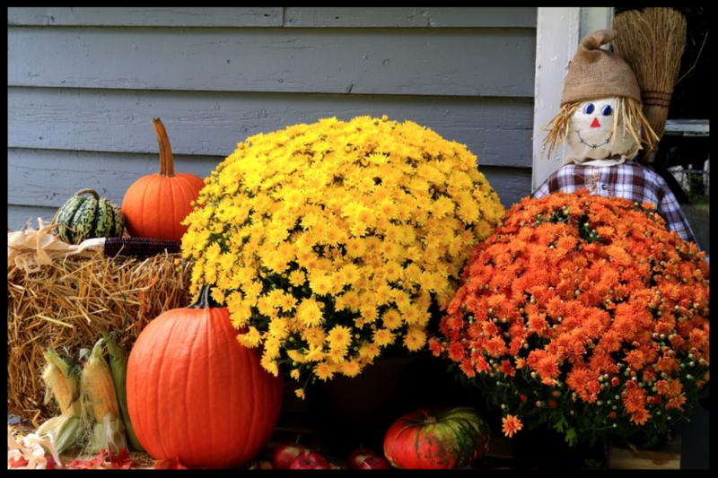 thanksgiving_decoration.jpg