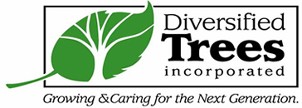 Diversified Trees Logo