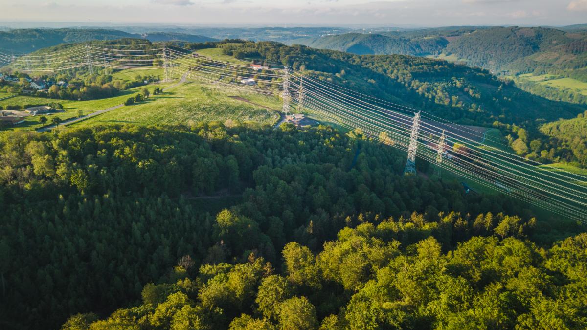 Aerial view of high voltage power lines crossing green forest and hills in Germany energy transmission infrastructure in rural landscape at sunset.