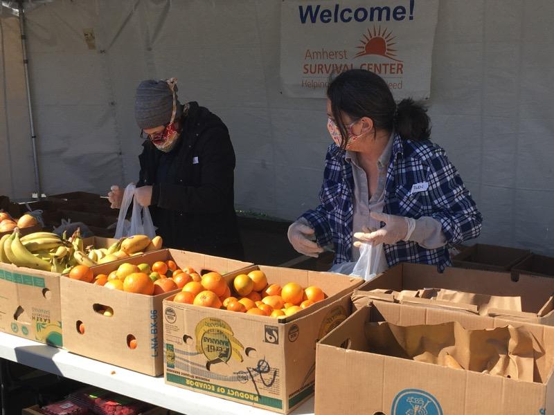 Volunteers sorting produce