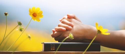 Christian praying with hands together on the holy bible and yellow flower background swaying in the wind