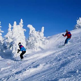 icy-landscape-skiers.jpg