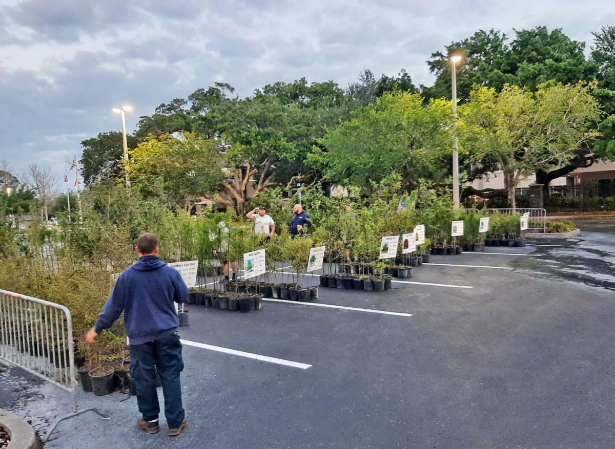 Read this week's DunediNEWS New Movie Filming in Dunedin, Parking Lot