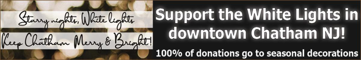 25739 Mobile Banner - White Lights.jpg