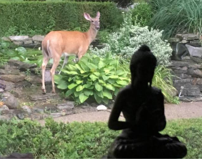 CTCT-20170621_141201_2