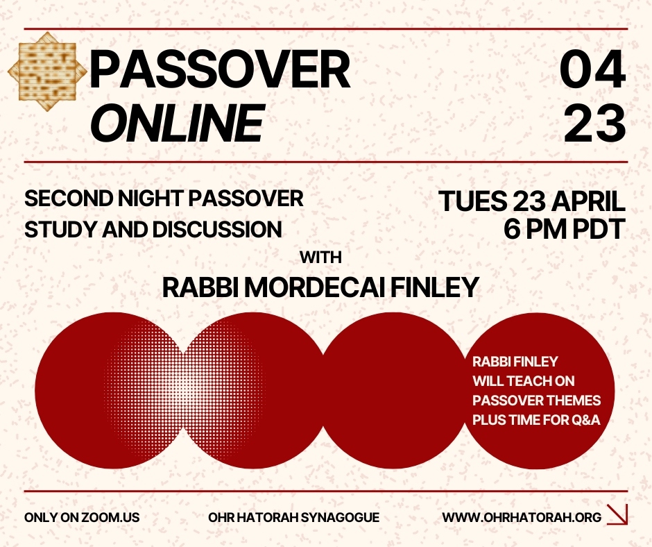 passover flyer 2024.jpg