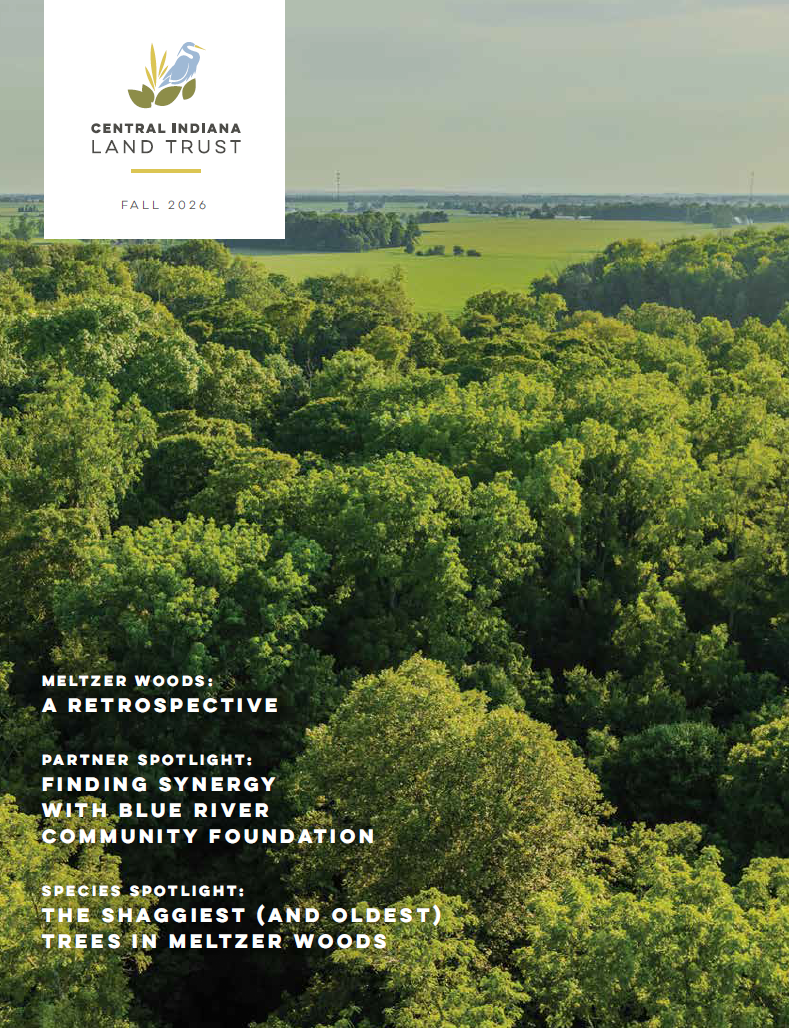 Magazine cover showing aerial of woods in summer