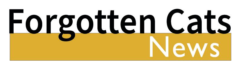 Forgotten Cats News Logo 2021.jpg