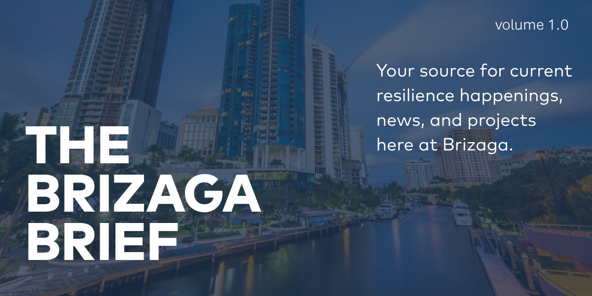 The Brizaga Brief - Your source for current resilience happenings, news, and projects here at Brizaga.