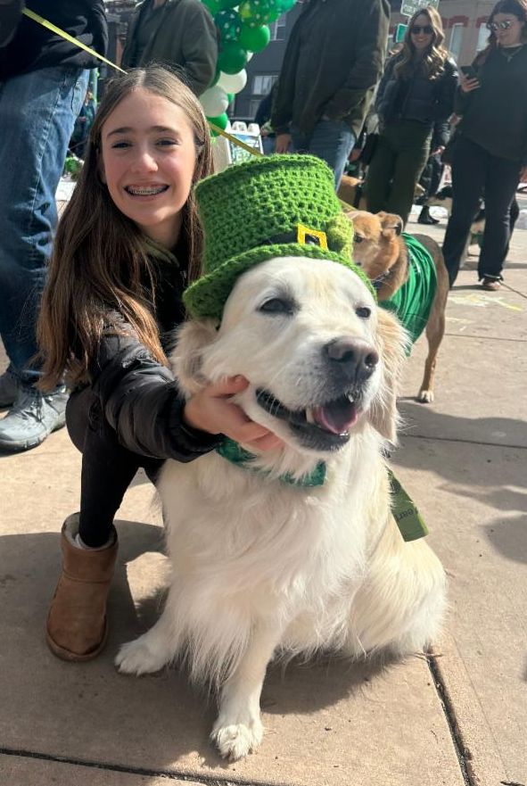 Golden Retriever with St Patty hat