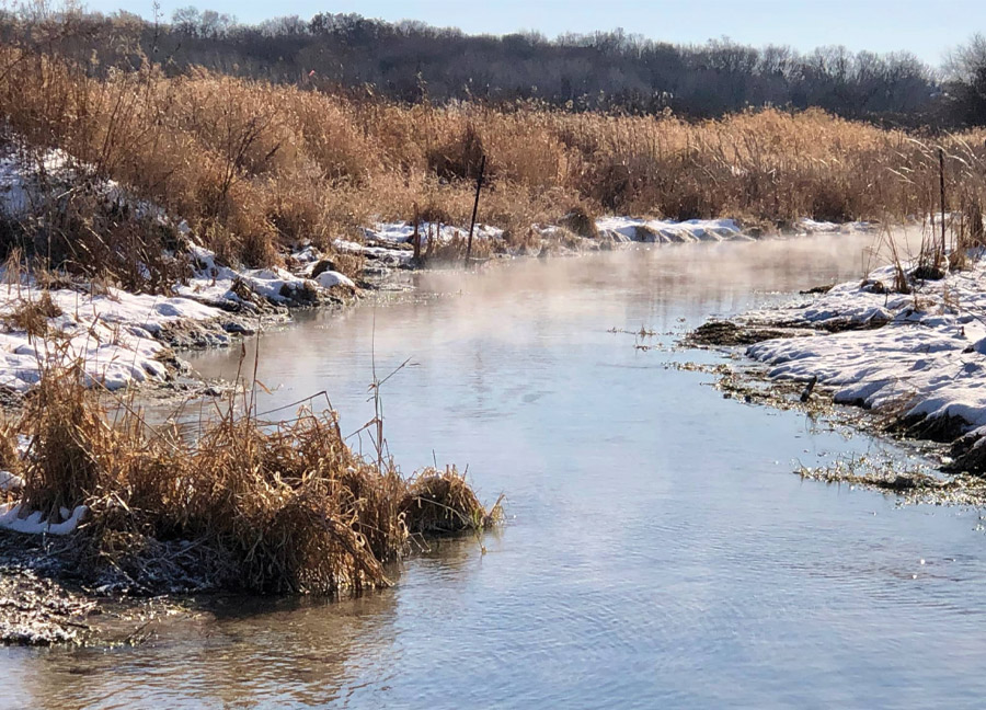 The Effects of Salt Use in Winter