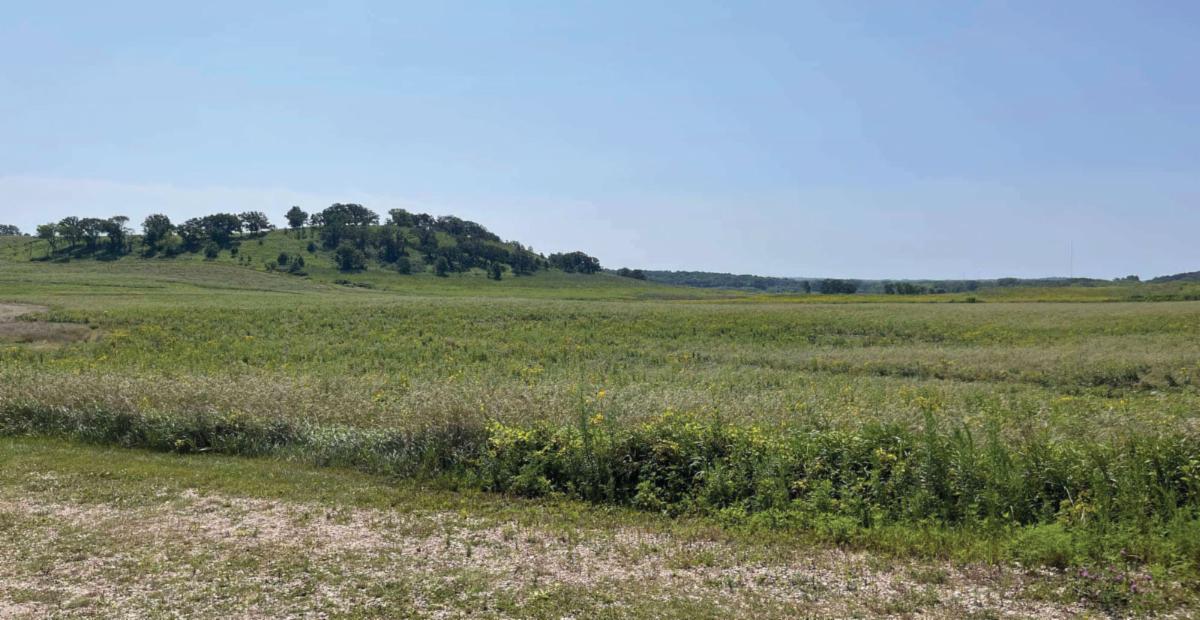 Seed the Need campaign proves successful