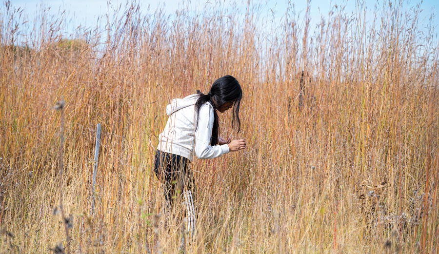 Back to School with the Friends of Pheasant Branch
