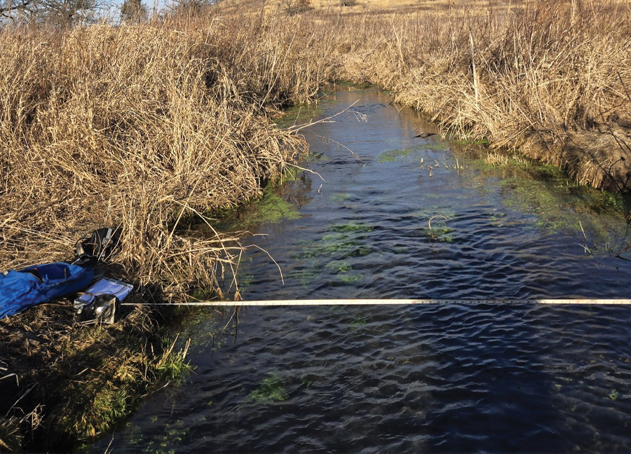 Conservancy Springs Respond to Wet Year