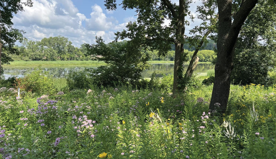 Watershed Committee updates