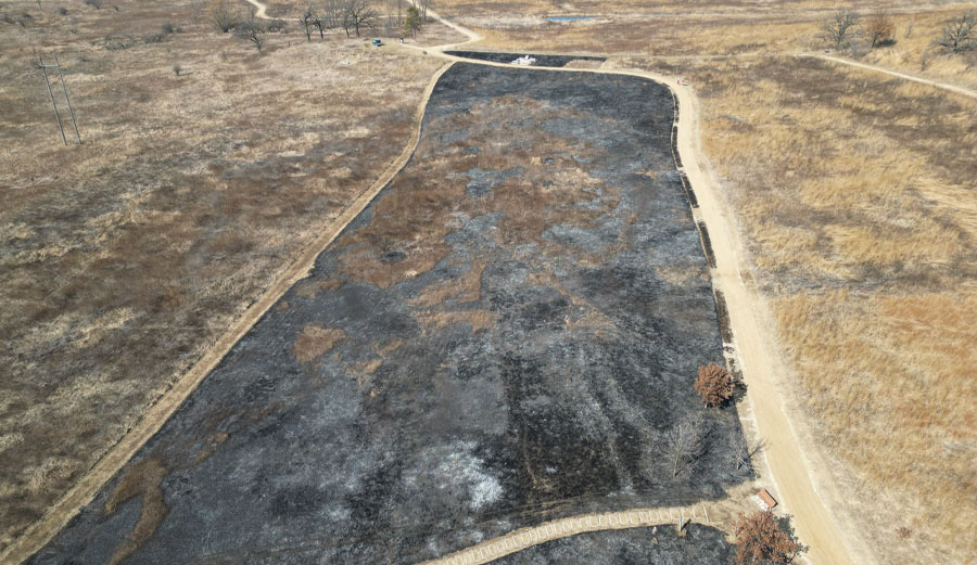 About our Prescribed Burn in March