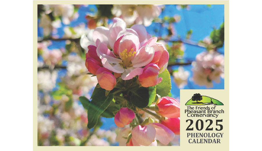 Order your 2025 Phenology Calendar