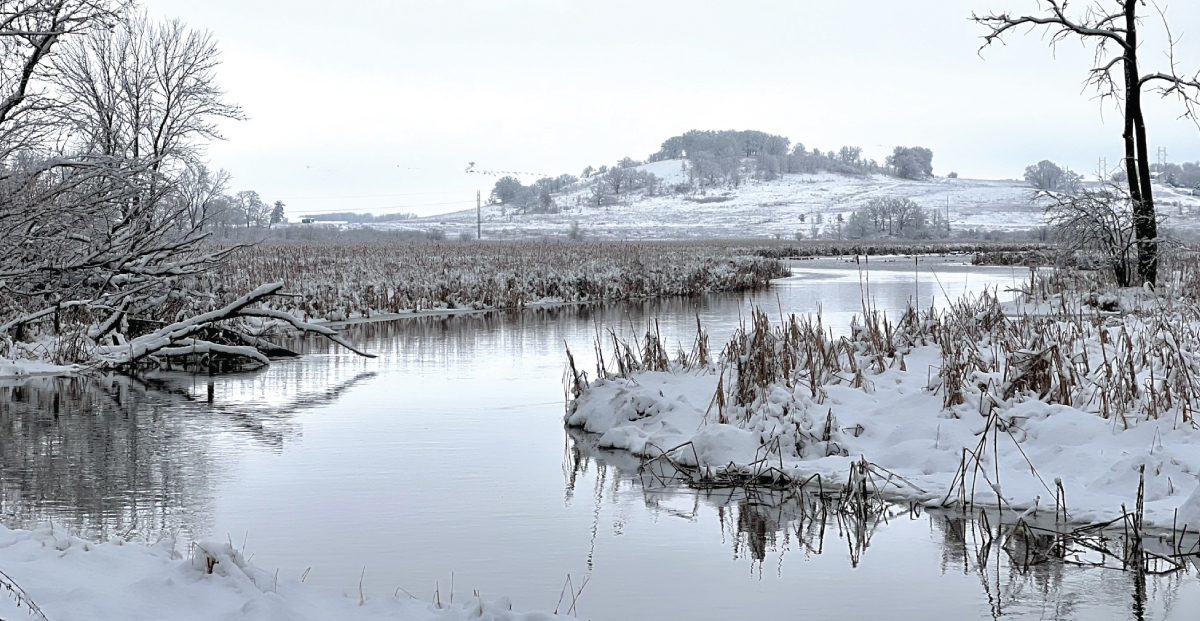 Fredericks Hill in Winter, viewed from Sabans Viewpoint