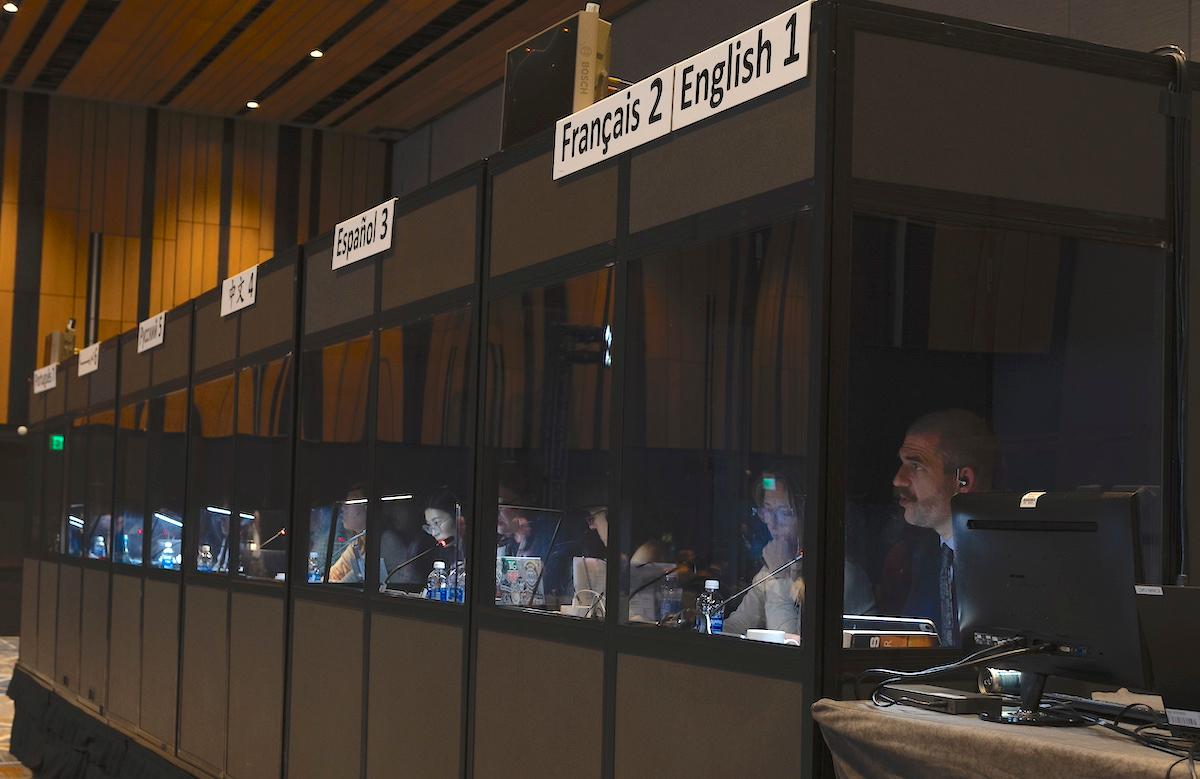ICANN is seeking feedback from the community about how community members use the language services provided during ICANN Public Meetings.