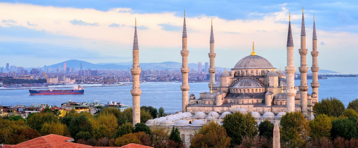 Image of the Istanbul skyline during the daytime