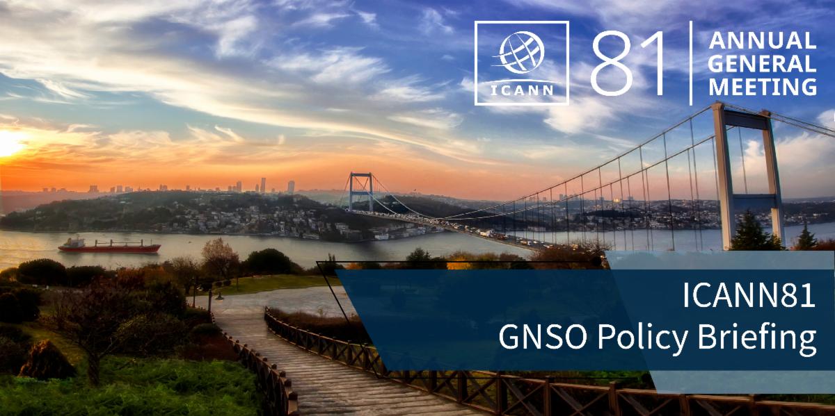 ICANN81 GNSO Policy Briefing graphic